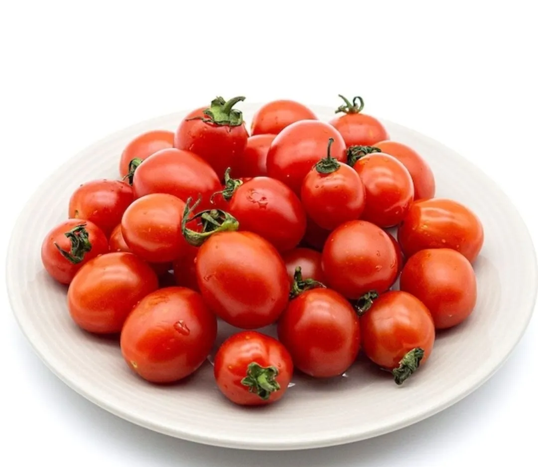 대추방울토마토 로얄과 3kg 홈페이지/장소 오늘의집 가격 가격: 9,315원 배송비 배송비: 무료 작성자 닉네임 UNLIMITED 등록일자 1분 전 추천수 0