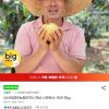 전남 나주배 6-10과 5kg 홈페이지/장소 지마켓 가격 가격: 11,160원 배송비 배송비: 무료 작성자 닉네임 헌터 등록일자 3분 전 추천수 0