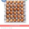 맥반석 구운란 30구+30구 대란 홈페이지/장소 오늘의집 가격 가격: 15,975원 배송비 배송비: 무료 작성자 닉네임 oiiacat 등록일자 2시간 전 추천수 0