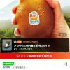 제스프리 썬 골드키위 자이언트 사이즈 총 3.2kg (21입 개당 150g 내외) 홈페이지/장소 지마켓 가격 가격: 21,530원 배송비 배송비: 무료 작성자 닉네임 oiiacat 등록일자 1분 전 추천수 0