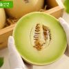 허니듀 멜론 2과 총 3.7kg 홈페이지/장소 오늘의집 가격 가격: 14,948원 배송비 배송비: 무료 작성자 닉네임 푸우우드 등록일자 1분 전 추천수 0