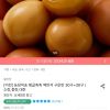 구운란 중란 30구+30구 홈페이지/장소 오늘의집 가격 가격: 15,476원 배송비 배송비: 무료 작성자 닉네임 UNLIMITED 등록일자 3분 전 추천수 0